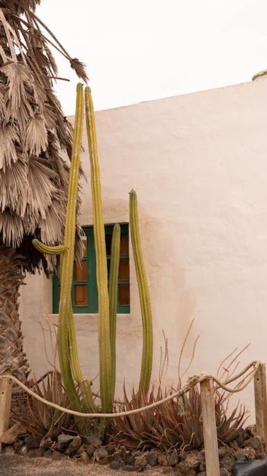 Casa Munique Βίλα Teguise  Εξωτερικό φωτογραφία