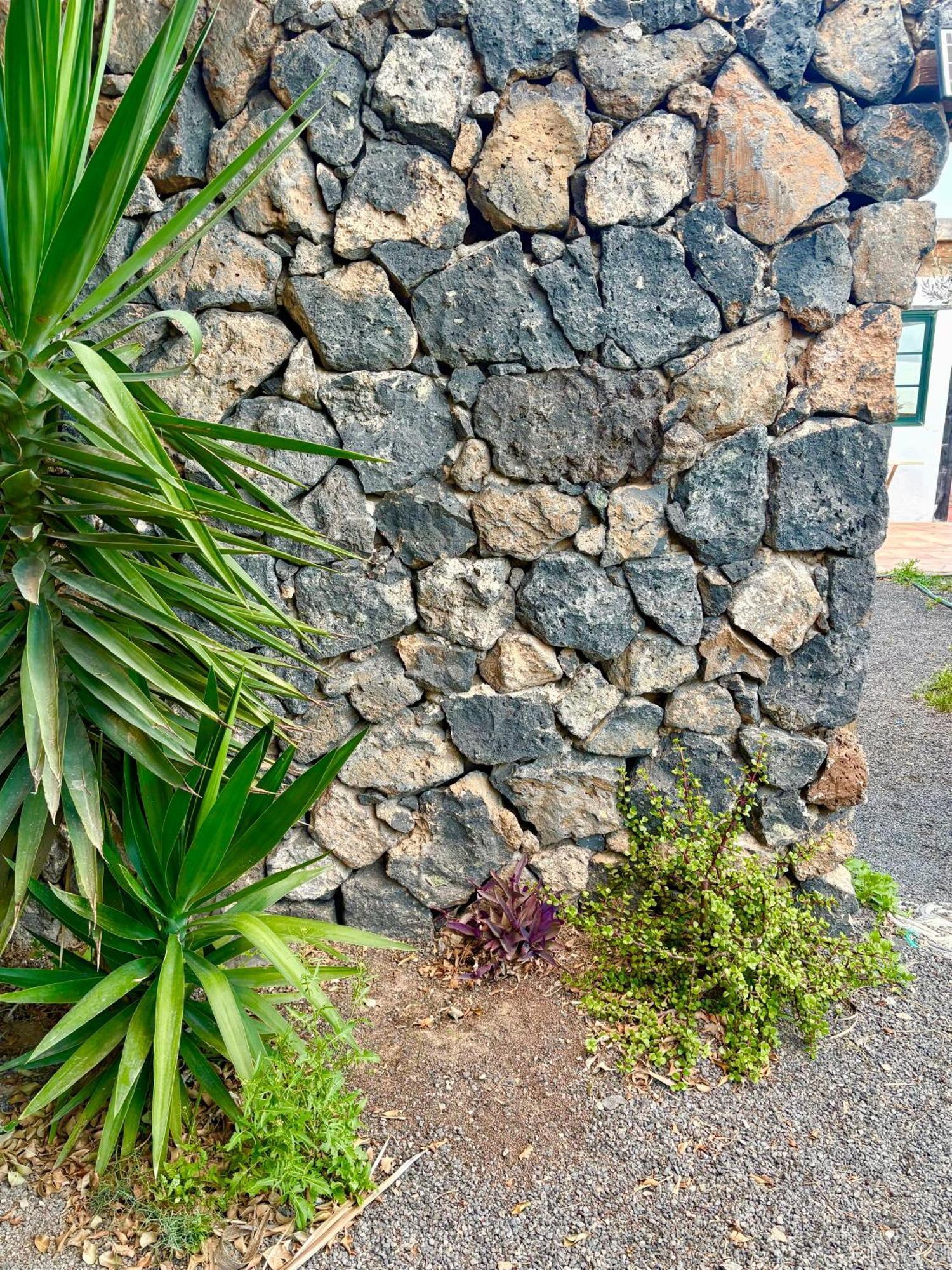 Casa Munique Βίλα Teguise  Εξωτερικό φωτογραφία
