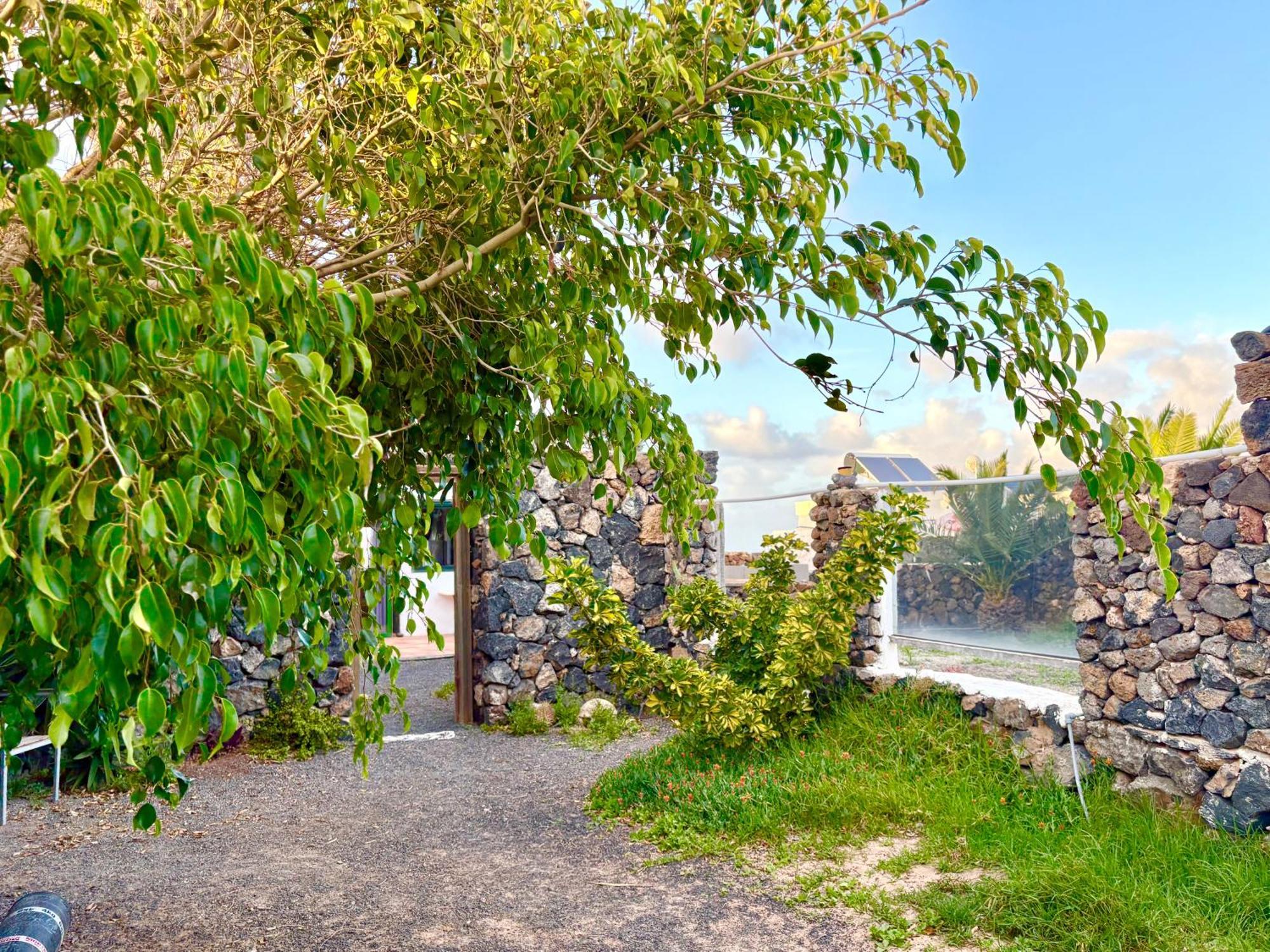 Casa Munique Βίλα Teguise  Εξωτερικό φωτογραφία